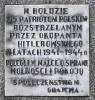 Memorial plaque. "In homage for Polish, executed by firing squad by Nazi invader in 1941-1944 years..."