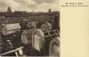 Unique cemetery.  Postcard caption in German reads, "The War in the East: Jewish Cemetery in Wilkomierz". See more images from this cemetery in Wikomierz gallery