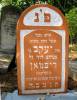 Here lies a respected man of good qualities, our teacher
and rabbi Yakov [Jacov] son of Reb Avraham [Abraham]
Dawid [David] of blessed memory Ripman from elechw
[Zhelechov in Yiddish]
died 26 Kislev 5694 [14 December 1933]  at the age of 62 years
May his soul be bound in the bond of everlasting life  
Translated by Sara Mages (smages@comcast.net)