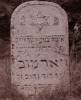Here lies a modest woman, ? ?
 daughter of Dawid Nachum of blessed memory
died 11 Shevat 5694 or 5695
