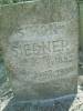 Siemon Siedner 1882-1938
