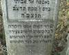 Here lies an honest woman, pure and refined, a good 
beloved soul, a loyal mother, the crown of her
her husband, Mrs. Sara/Sure Leiblich daughter
of Reb Eliezer Goldberg wife of Reb Shemuel
Leiblich, died on 6 Tevet 5692 May her soul
be bound in the bond of life .

 Death robbed our beloved mother, tender in years
young in days, the Lord took her to him to the heavens 
to be a good advocate for the orphans.