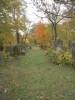 Beautiful in autumn, but nature is taking over the oldest Jewish cemetery in Poland.