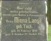 Minna Lange 1856 - 1911.