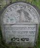 The broken tree symbolizes a young life cut short 

Died 26 Nisan 5684 by the abbreviated era [30 April 1924]
Here lies

The important and modest bride
Lament because her days were cut and she did not get married  
Miss. Feiga [Feige] Beila  [Beile]
daughter of the scholar our teacher and rabbi Asher Zelig
May her soul be bound in the bond of everlasting life 
Translated by Sara Mages (smages@comcast.net)