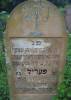 Here lies – a tombstone for a modest old woman, advanced in years,
feared God and performed good deeds all the days of her life, from a good stock,
Ms. Peril daughter of Tevill Dawid [David] HaLevi died 12 to the month of Mar
Heshvan 5694 [1 November 1933] 
May her soul be bound in the bond of everlasting life  
Translated by Sara Mages (smages@comcast.net)