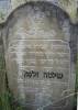 Here lies. A tombstone for an upright, honest, straightforward man,
feared God all his days, always went to the synagogue in the morning 
and in the evening, our teacher Shelomo Zalman son of Moshe [Moses]
died on Hoshana Raba 5691  [the seventh day of Sukkot – 21 Tishrei -
13 October 1930]  by the abbreviated era
May his soul be bound in the bond of everlasting life  
Translated by Sara Mages (smages@comcast.net)

[Husband of Pesha #247]