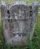 …..Mindil daughter of Yehudah Zew [Zev] died 24 Tamuz 
5676 [25 July 1916] May her soul be bound in the bond of everlasting life  
Translated by Sara Mages (smages@comcast.net)
