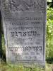 Here lies
a woman modest and important
who was charitable and merciful
instructed her sons to follow the righteous way 
Mrs. Tsharne 
daughter of Reb Yitschak [Yitzchak, Icchok] Leybush 
Berkowitz 
died 24 Tamuz 5687 [24 July 1927]
May her soul be bound in the bond of everlasting life
Translated by Mages smages@comcast.net
