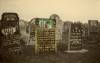 Amazing gravestones. Colours reconstructions Edyta Fiedorowicz
